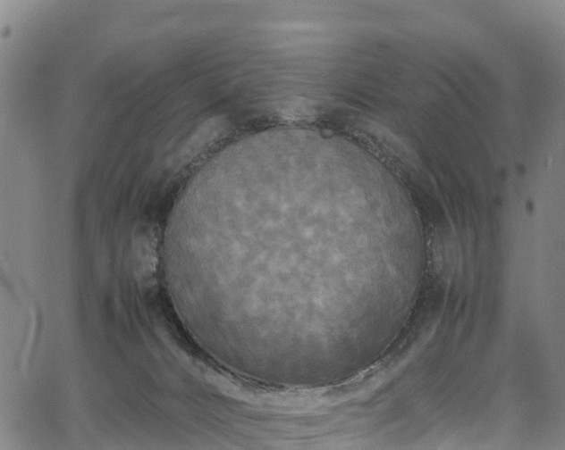 X0000067400032200604031109
