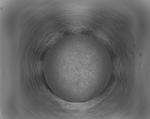 X0000067400034200604031109