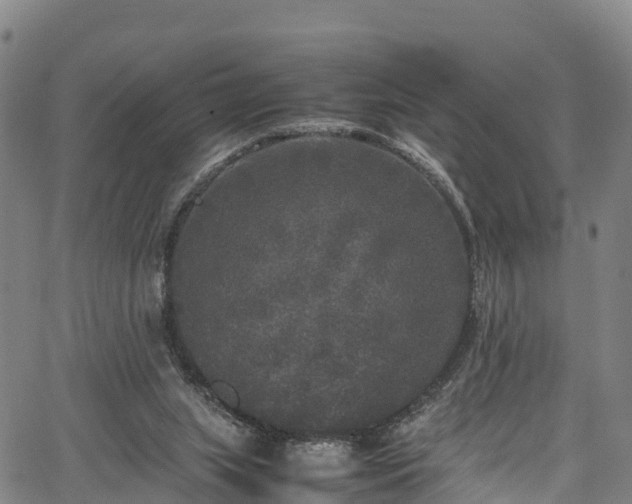 X0000067400063200604031108