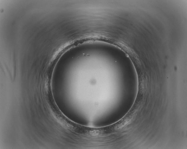 X0000067400064200604031108