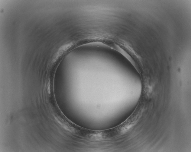 X0000067400068200604031108