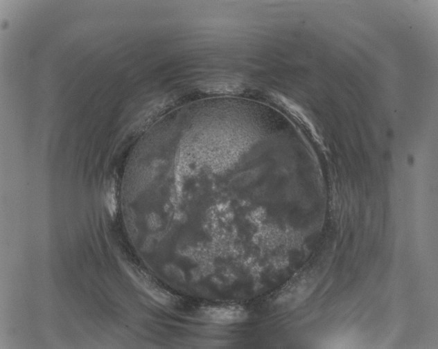 X0000067400069200604031108