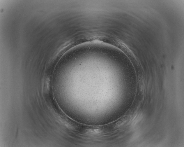 X0000067400071200604031108