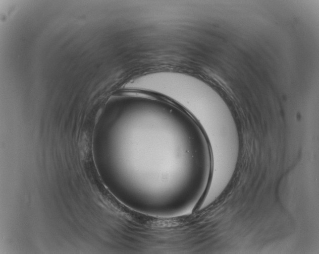 X0000067400077200604031108