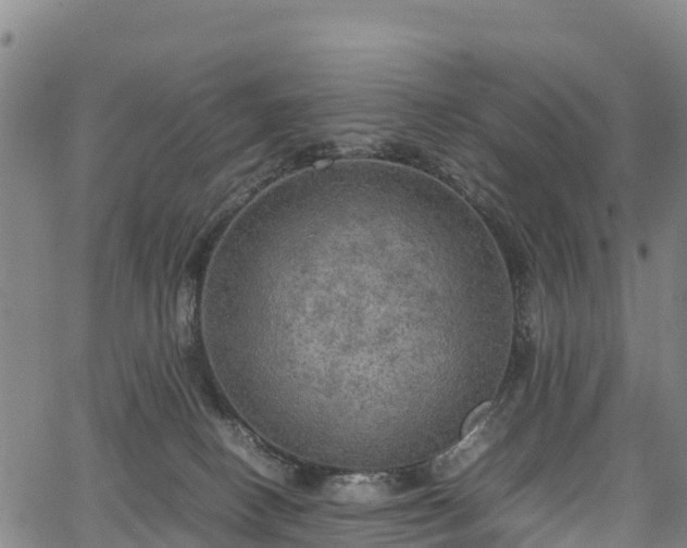 X0000067400082200604031108