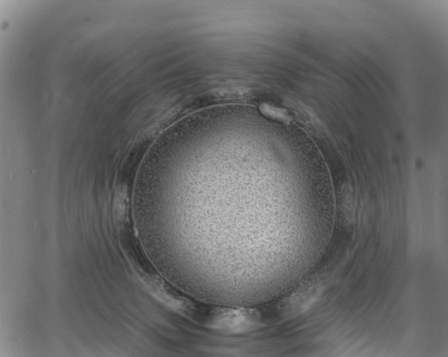 X0000067400083200604031108