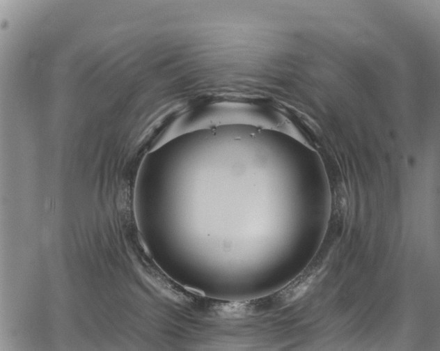 X0000067400092200604031108