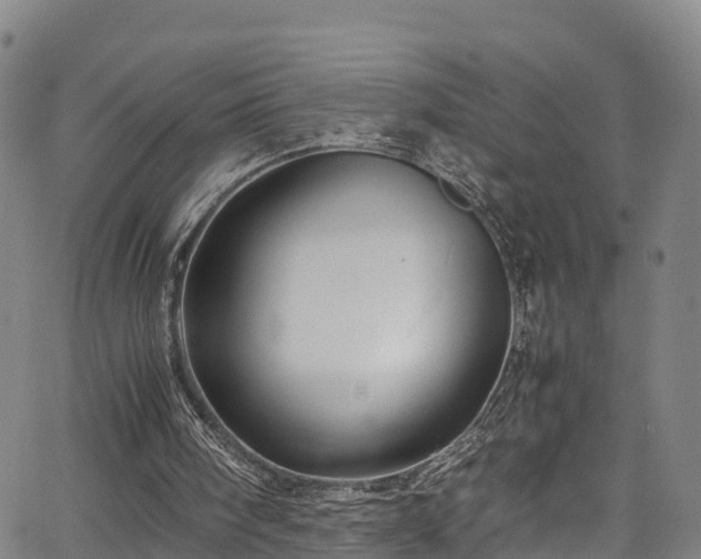 X0000067400098200604031108