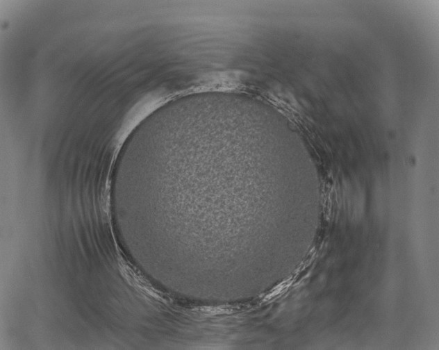 X0000067400100200604031108