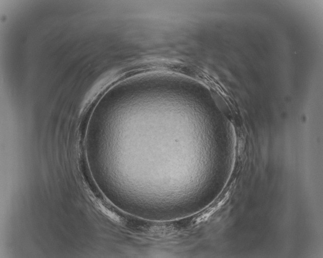 X0000067400101200604031108