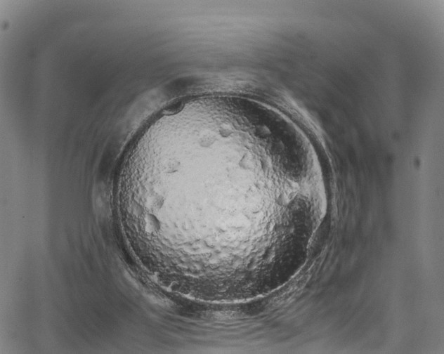X0000067400107200604031108