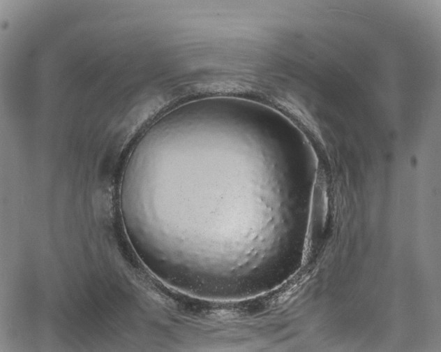 X0000067400111200604031107