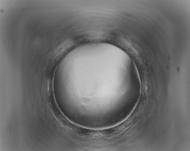 X0000067400115200604031107