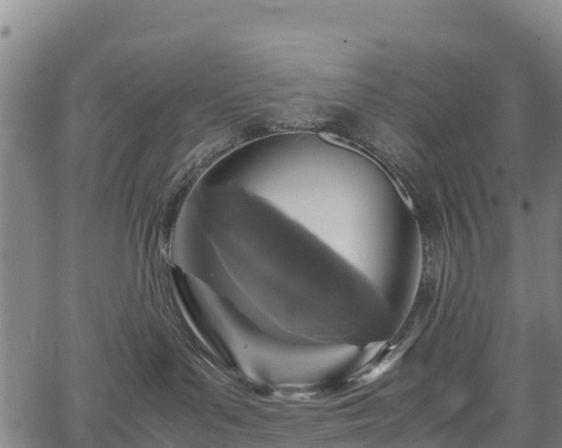 X0000067400143200604031107
