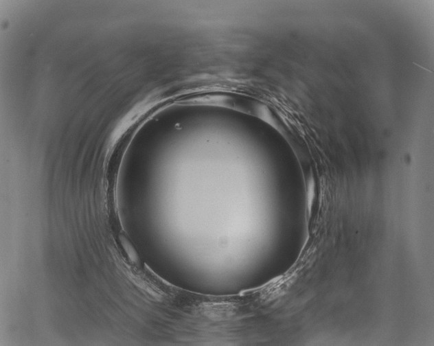 X0000067400150200604031106