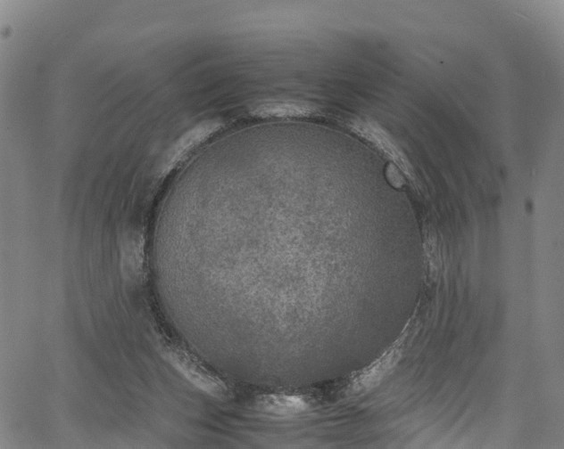 X0000067400159200604031106