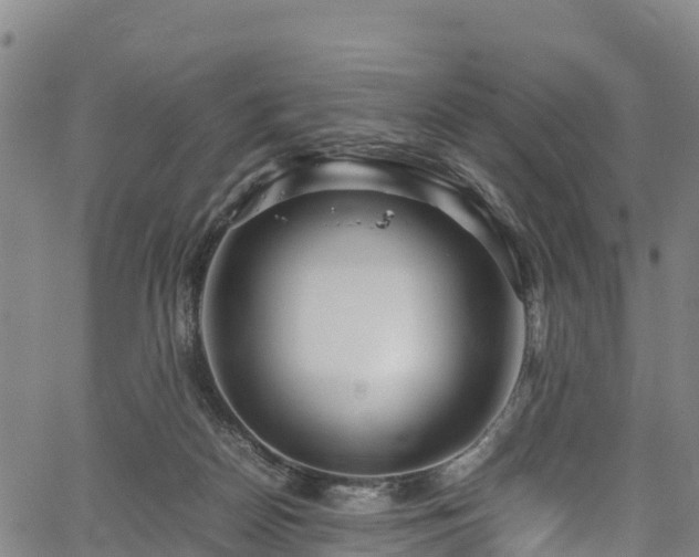 X0000067400170200604031107
