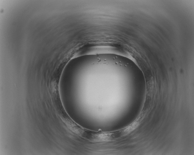 X0000067400184200604031107
