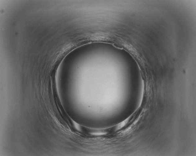 X0000067400201200604031106