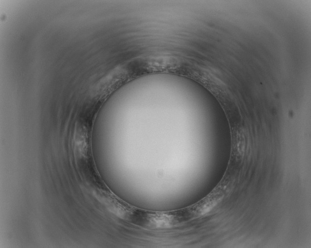 X0000067400226200604031106