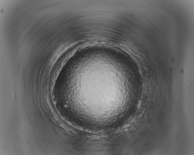 X0000067400241200604031104