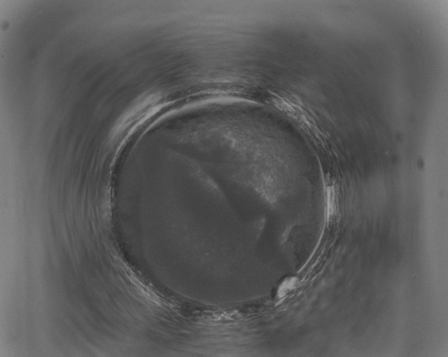 X0000067400243200604031104