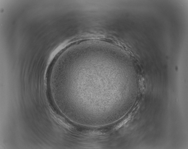 X0000067400246200604031105