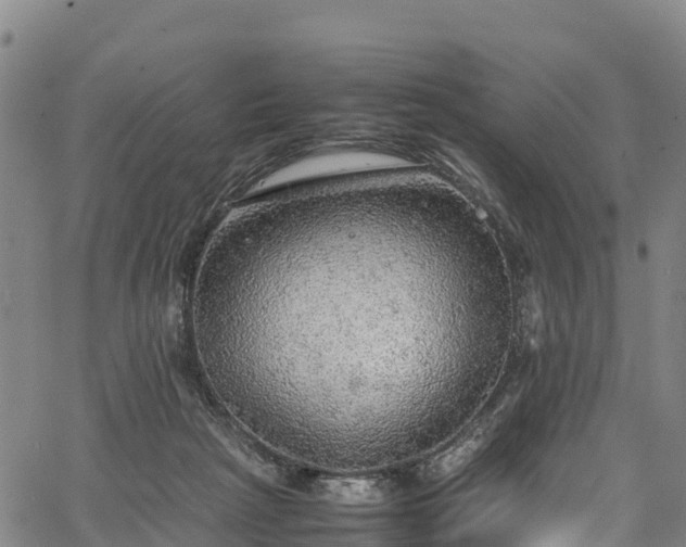 X0000067400265200604031105