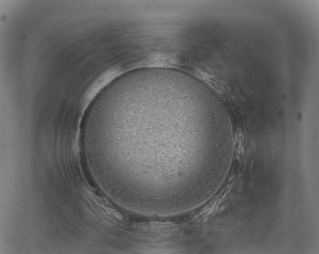 X0000067400292200604031104