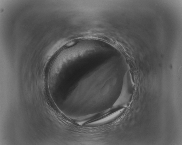 X0000067400295200604031104