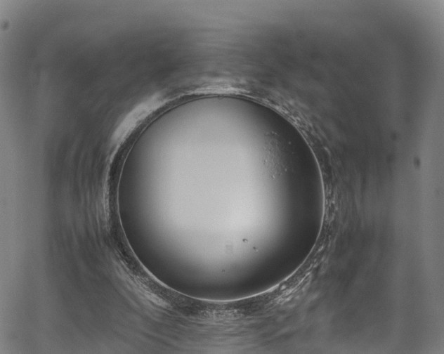 X0000067400296200604031104