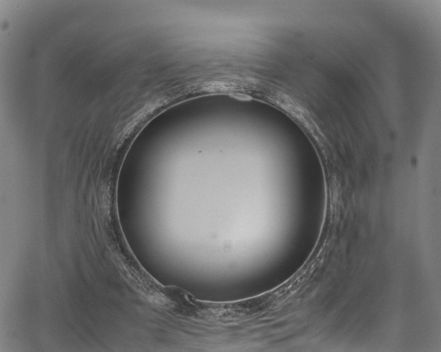 X0000067400297200604031104