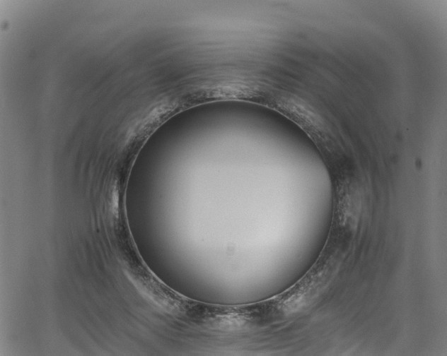 X0000067400310200604031104