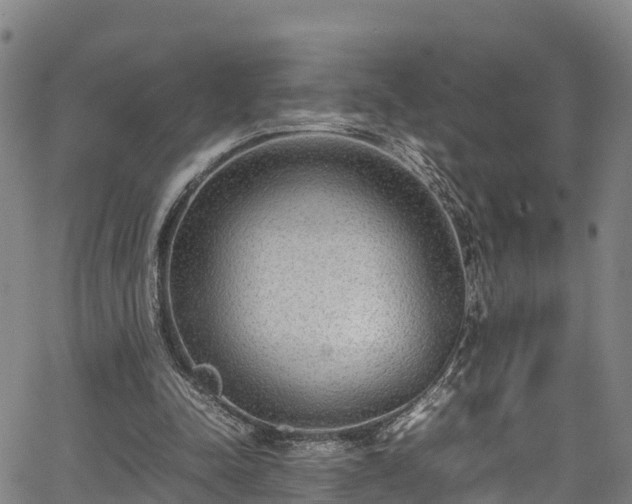 X0000067400342200604031103
