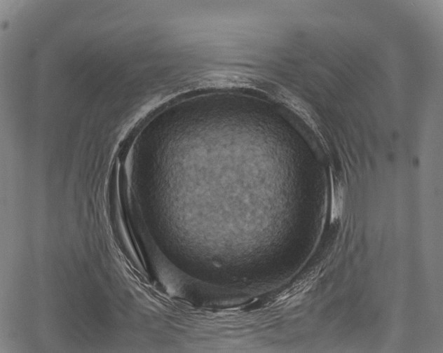 X0000067400387200604031103