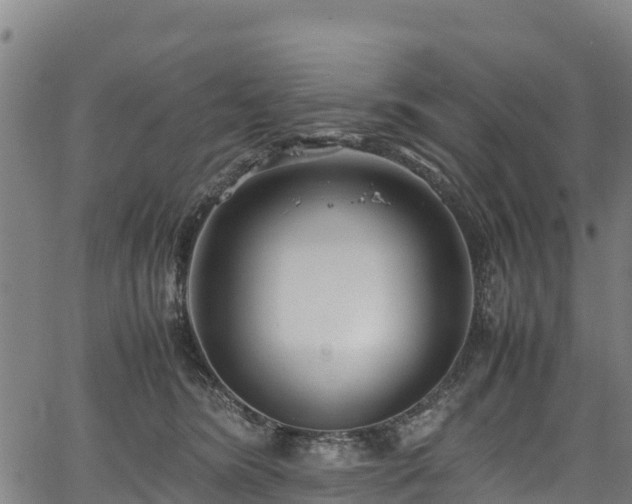 X0000067400420200604031102