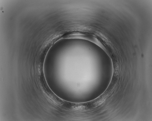X0000067400452200604031102