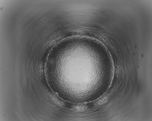 X0000067400466200604031102