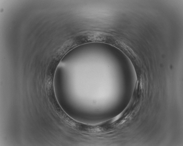 X0000067400513200604031101