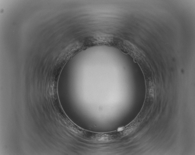 X0000067400514200604031101