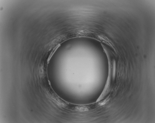 X0000067400520200604031101