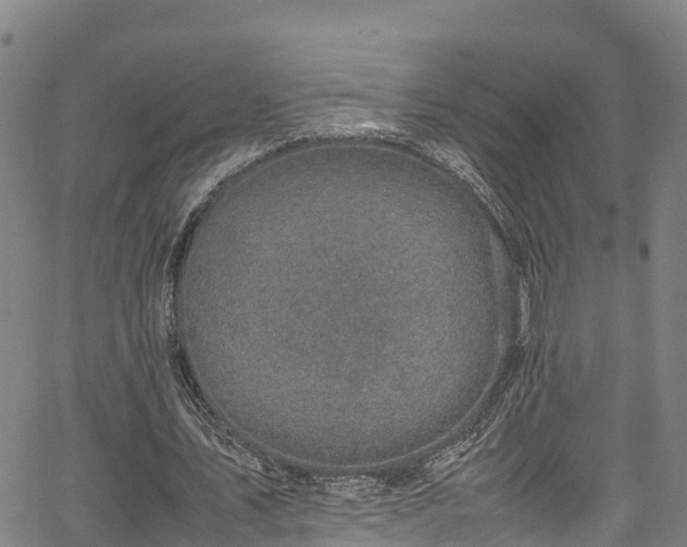 X0000067400579200604031100
