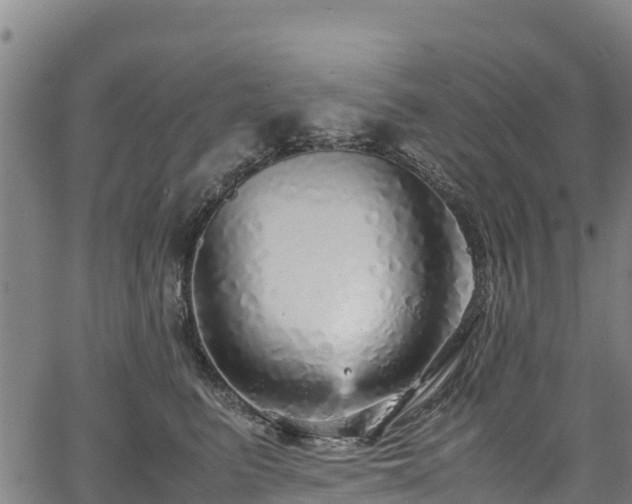 X0000067400615200604031059