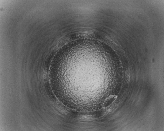 X0000067400657200604031059