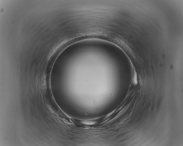 X0000067400676200604031058