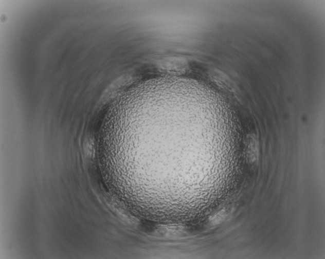 X0000067400713200604031058