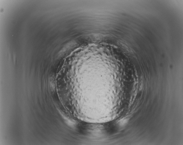 X0000067400719200604031057
