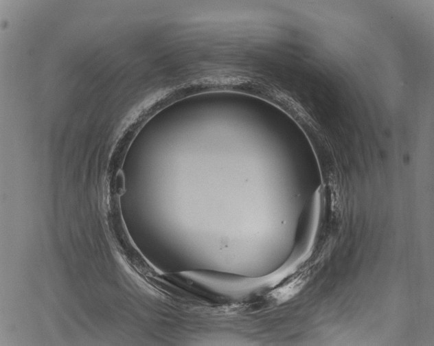 X0000067400726200604031057