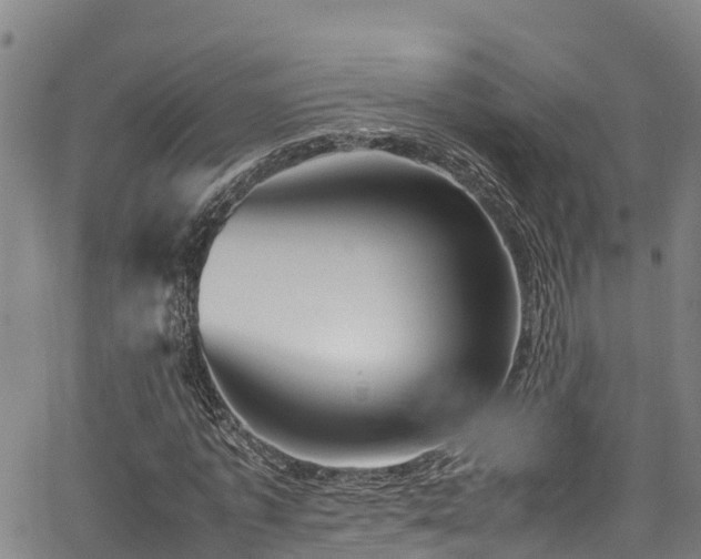 X0000067400773200604031057