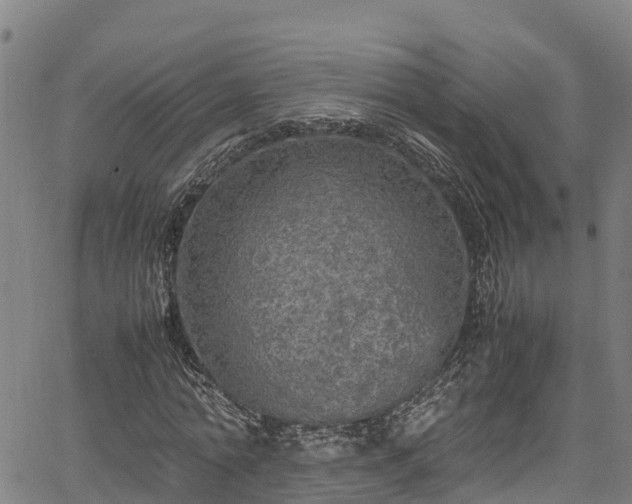 X0000067400774200604031057
